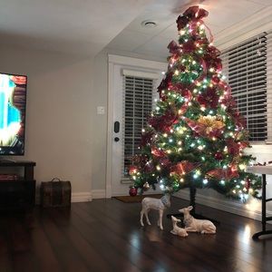 Meet your Posher, Danika